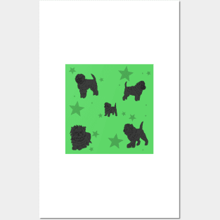 Affenpinscher Pattern Green Posters and Art